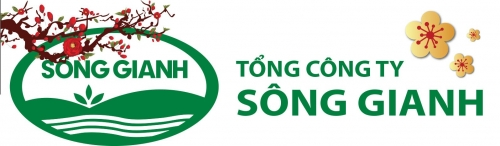 CÔNG TY CỔ PHẦN TỔNG CÔNG TY SÔNG GIANH