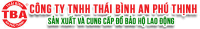 CÔNG TY TNHH THÁI BÌNH AN PHÚ THỊNH