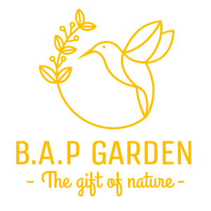 CÔNG TY TNHH B.A.P GARDEN
