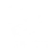 CÔNG TY TNHH ĐẦU TƯ VÀ PHÁT TRIỂN CÔNG NGHỆ SONG PHƯƠNG