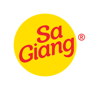 CHI NHÁNH CÔNG TY CỔ PHẦN XUẤT NHẬP KHẨU SA GIANG TẠI THÀNH PHỐ HỒ CHÍ MINH