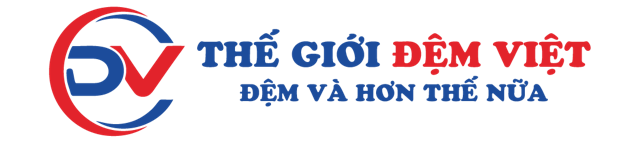 CÔNG TY TNHH SẢN XUẤT THƯƠNG MẠI VÀ ĐẦU TƯ THẾ GIỚI ĐỆM VIỆT