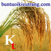 CÔNG TY TNHH MỘT THÀNH VIÊN TRƯỜNG ĐẠT KIỀU TRANG