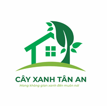 CÔNG TY TNHH TM ĐẦU TƯ VÀ XÂY DỰNG TÂN AN