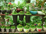 CÔNG TY TNHH XÂY DỰNG THƯƠNG MẠI VÀ DỊCH VỤ TRẦN PHƯƠNG