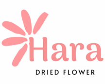 CÔNG TY TNHH KINH DOANH THƯƠNG MẠI HARA