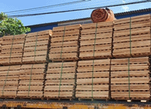 CÔNG TY TNHH NHIỆT THUẬN THỊNH