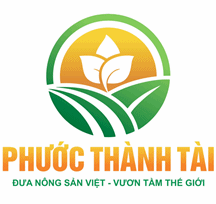 CÔNG TY TNHH XUẤT NHẬP KHẨU QUỐC TẾ PHƯỚC THÀNH TÀI