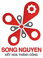 CÔNG TY CỔ PHẦN KỸ THUẬT TỰ ĐỘNG SONG NGUYÊN