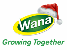 CÔNG TY CP NƯỚC GIẢI KHÁT WANA