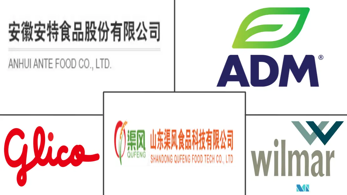 中国小麦蛋白市场规模主要参与者