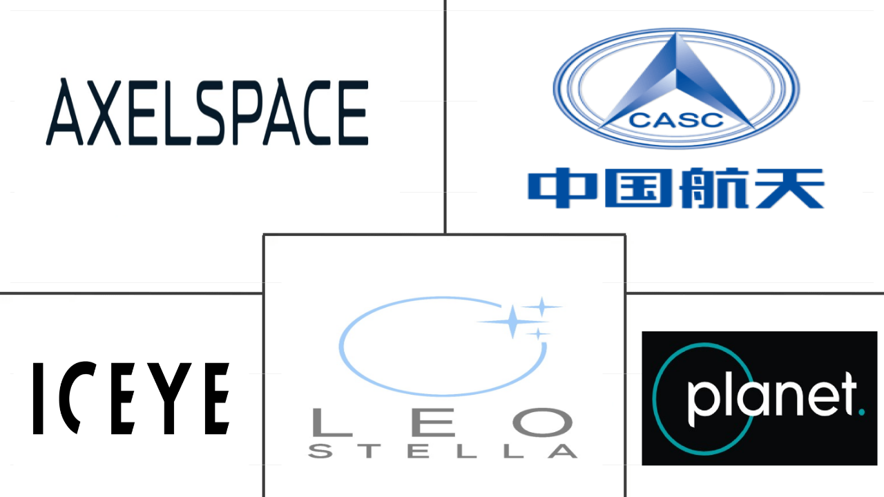 纳米和微卫星市场规模主要参与者