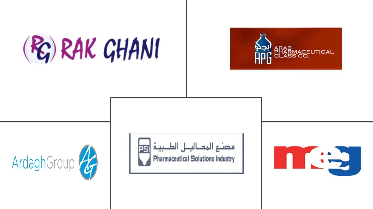 中东和非洲药用玻璃包装市场规模主要参与者