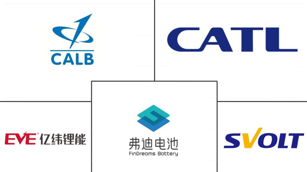 中国电动汽车电池组市场规模主要参与者