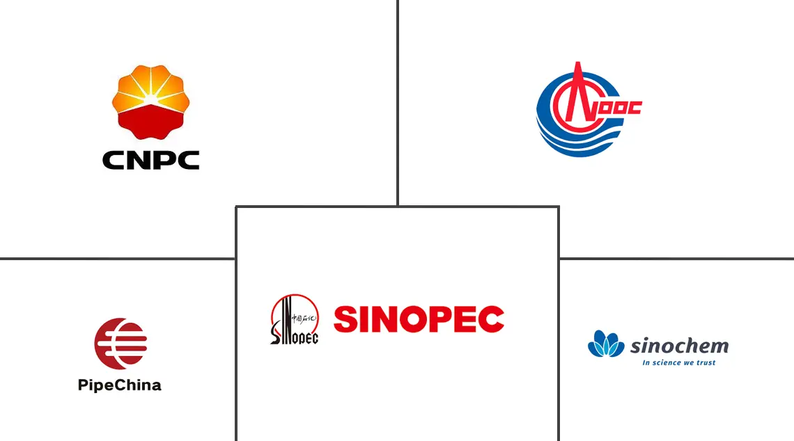 中国油气市场规模及份额
