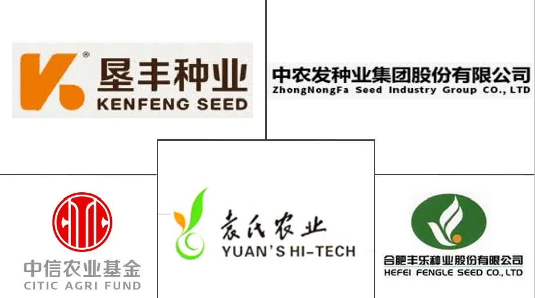 中国水稻种子市场规模及份额主要参与者