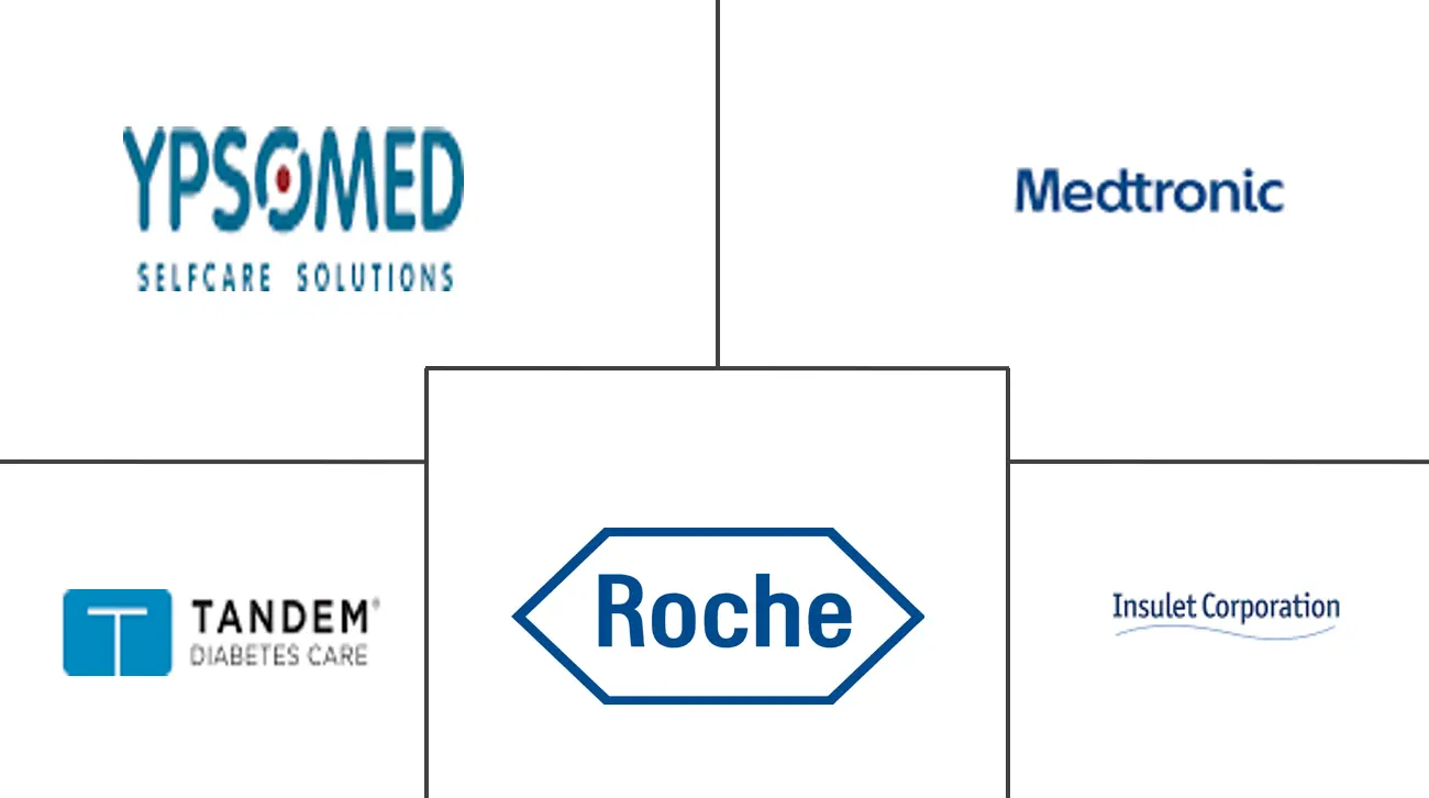 韩国胰岛素输液泵市场规模