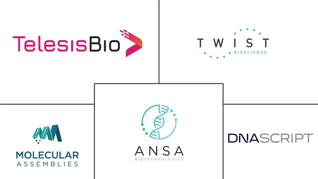 酶法 DNA 合成市场规模及份额