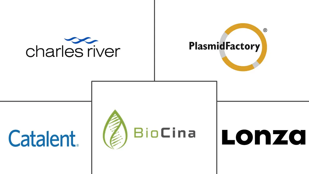 质粒 DNA 合同制造市场规模及份额