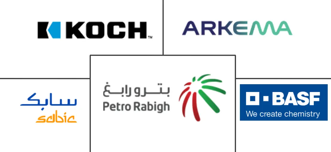 中东聚酰胺市场规模及份额主要参与者