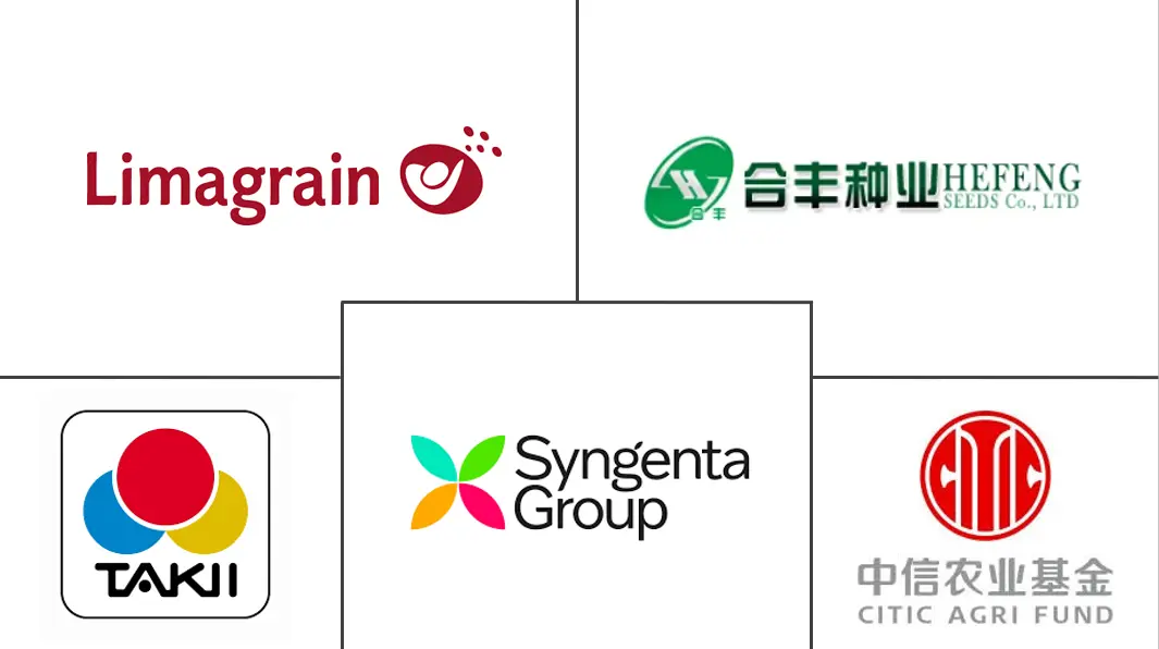 中国蔬菜种子市场规模及份额主要参与者