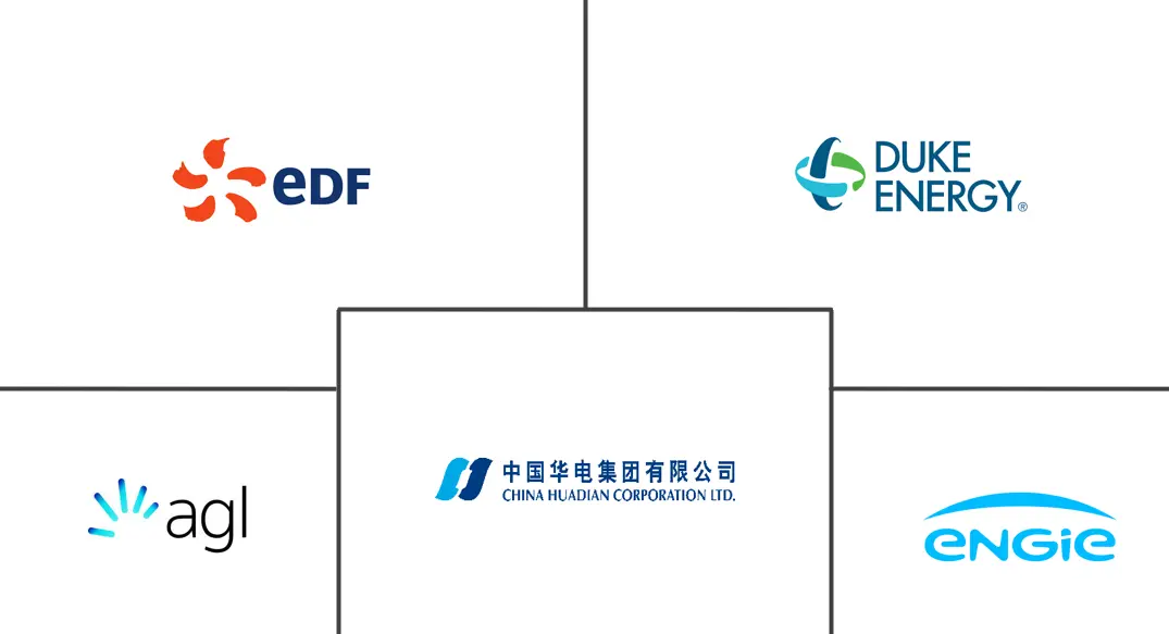 电力零售市场规模及份额主要参与者