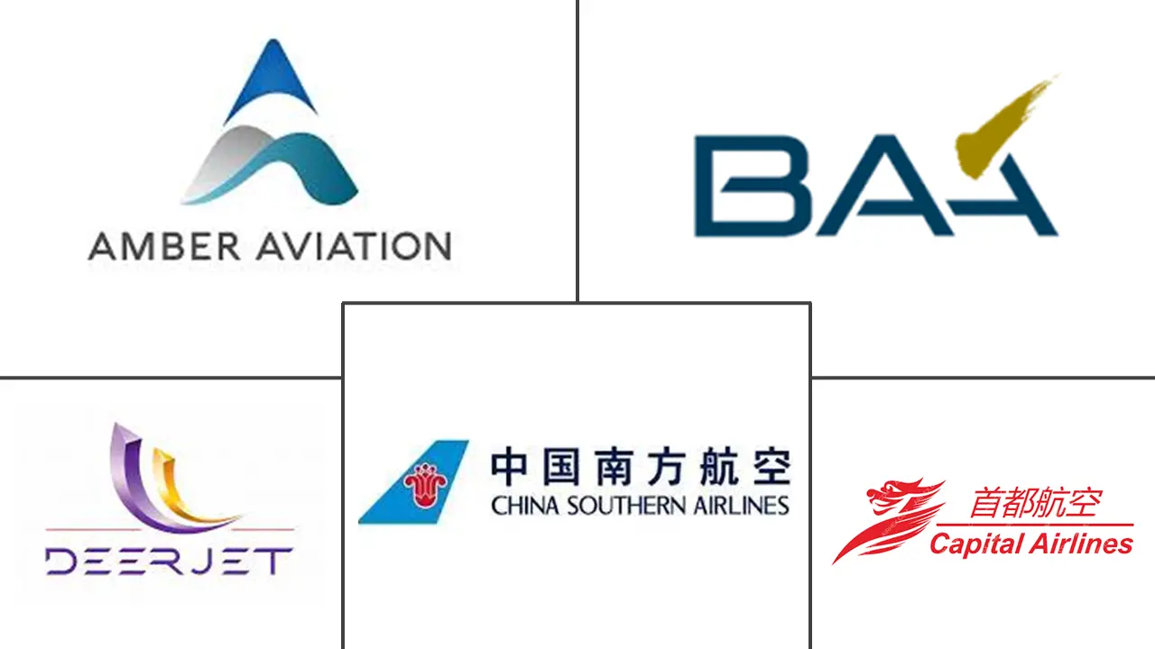 中国包机航空运输市场规模主要参与者