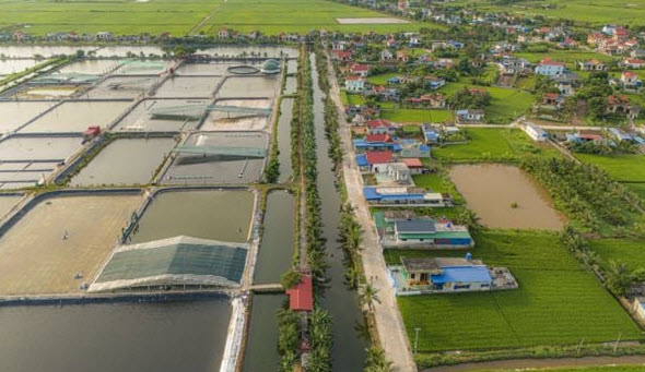 Sân Bay Tiên Lãng B – IP