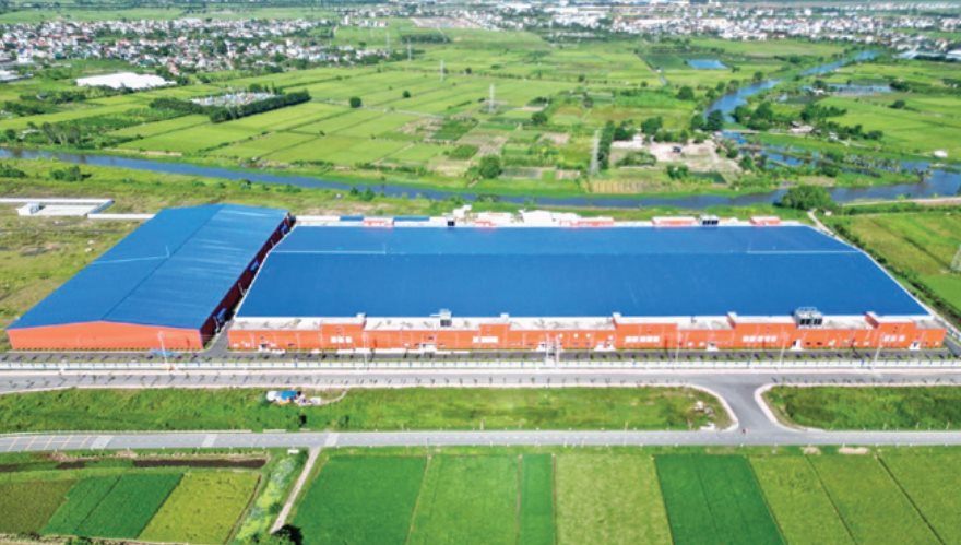 Quý Ninh – IC