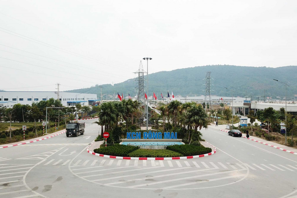 Đông Mai – IC
