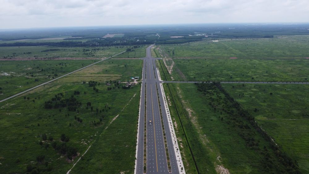 Cây Trường – IP