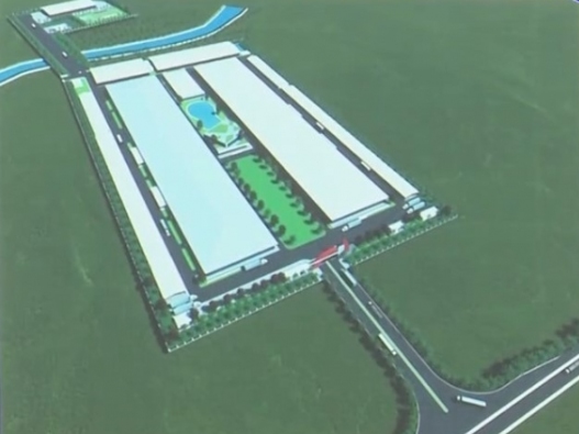 Tân Dương – IC