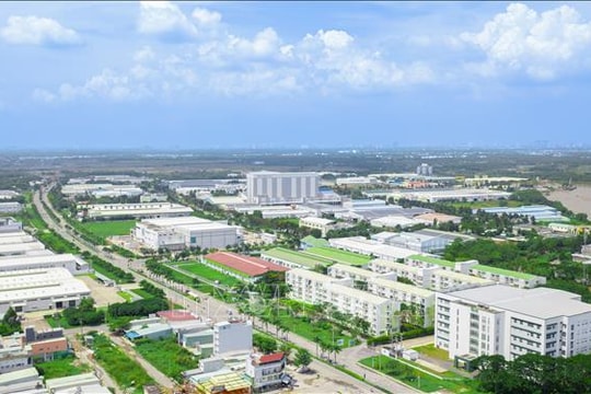 Thái Tân – IC