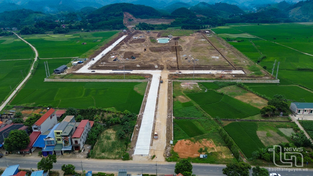 Tân Dương – IC