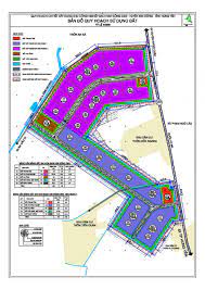 Kim Động – IP