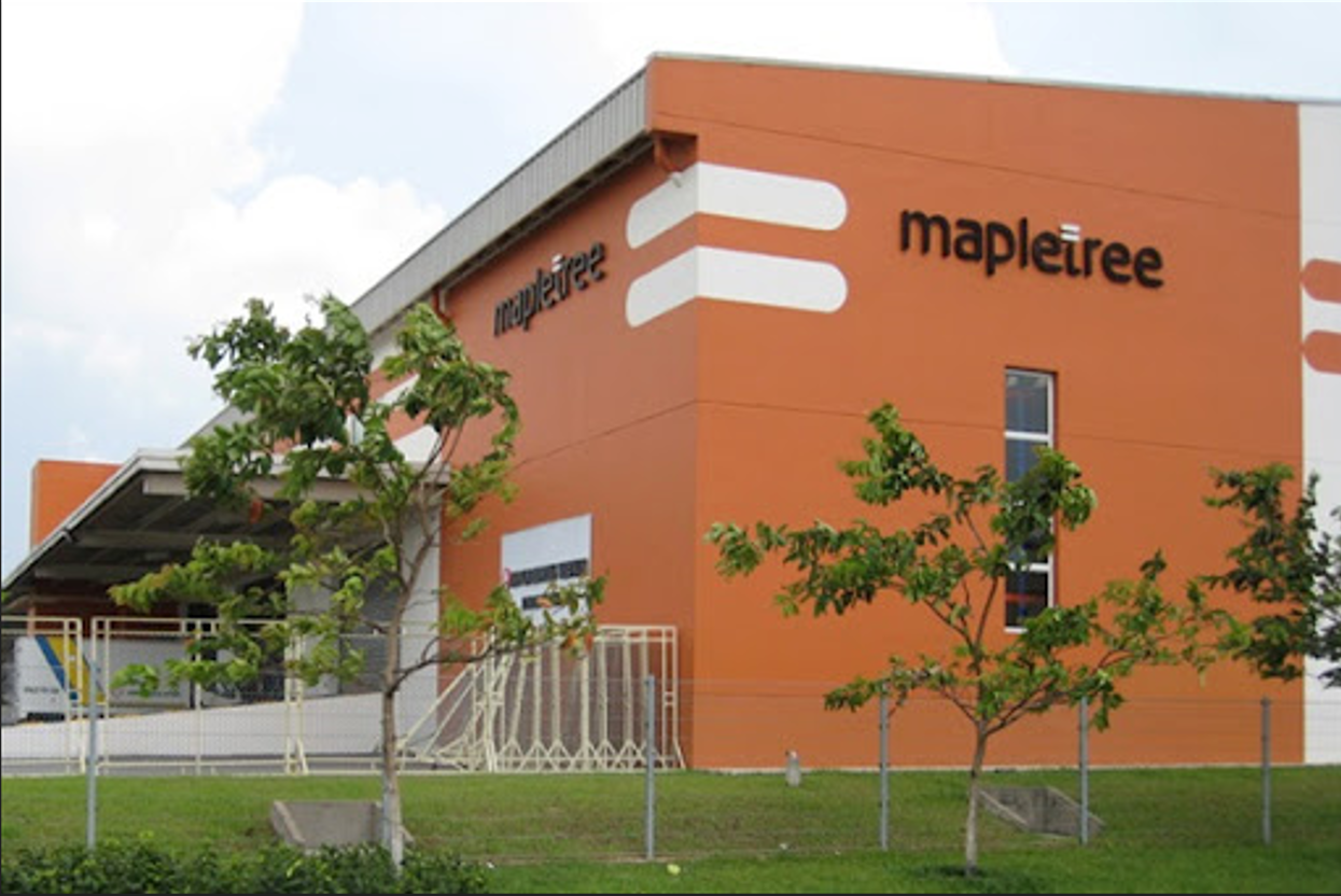 Mapletree – IP