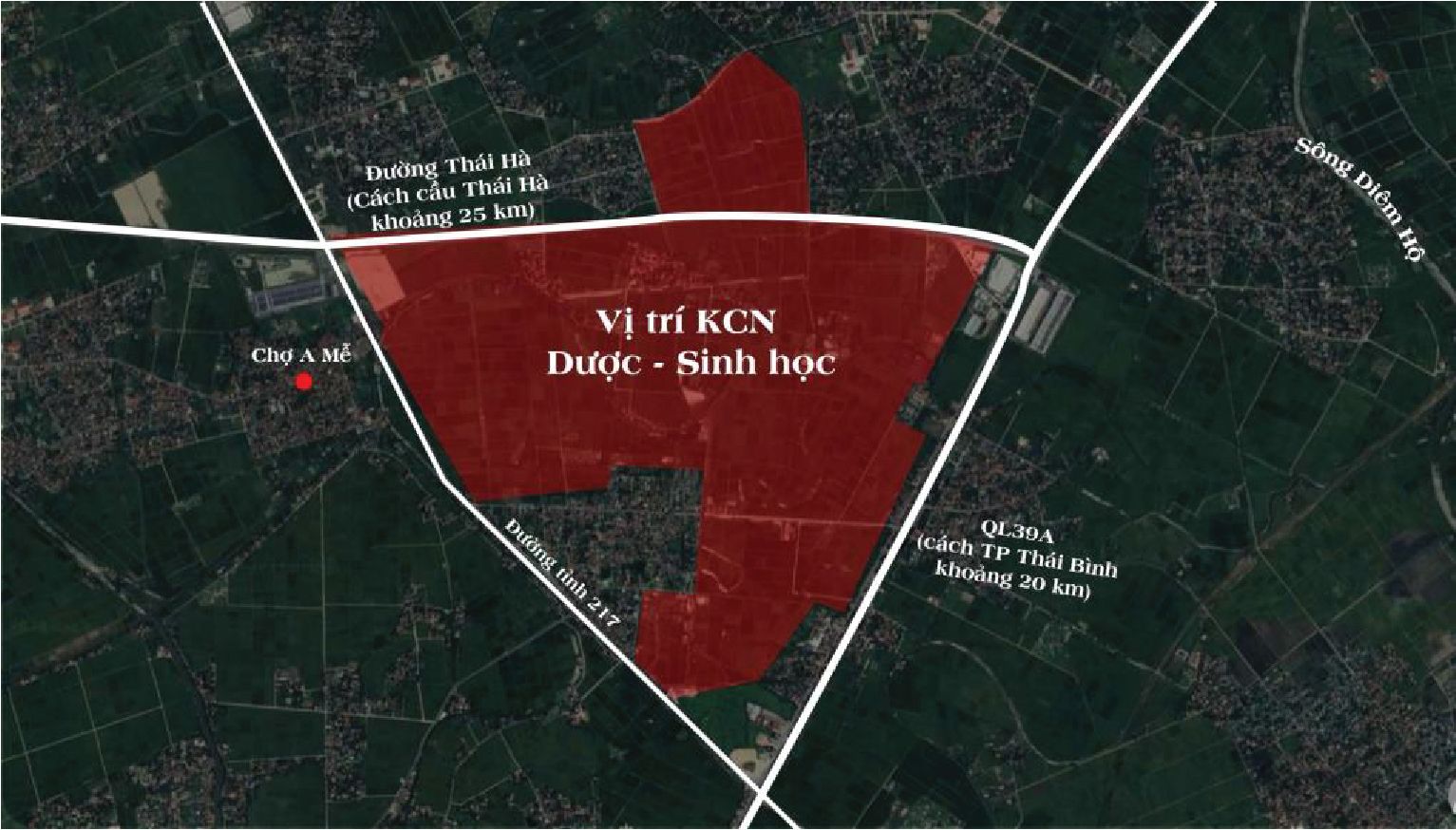 Dược – Sinh Học – IP
