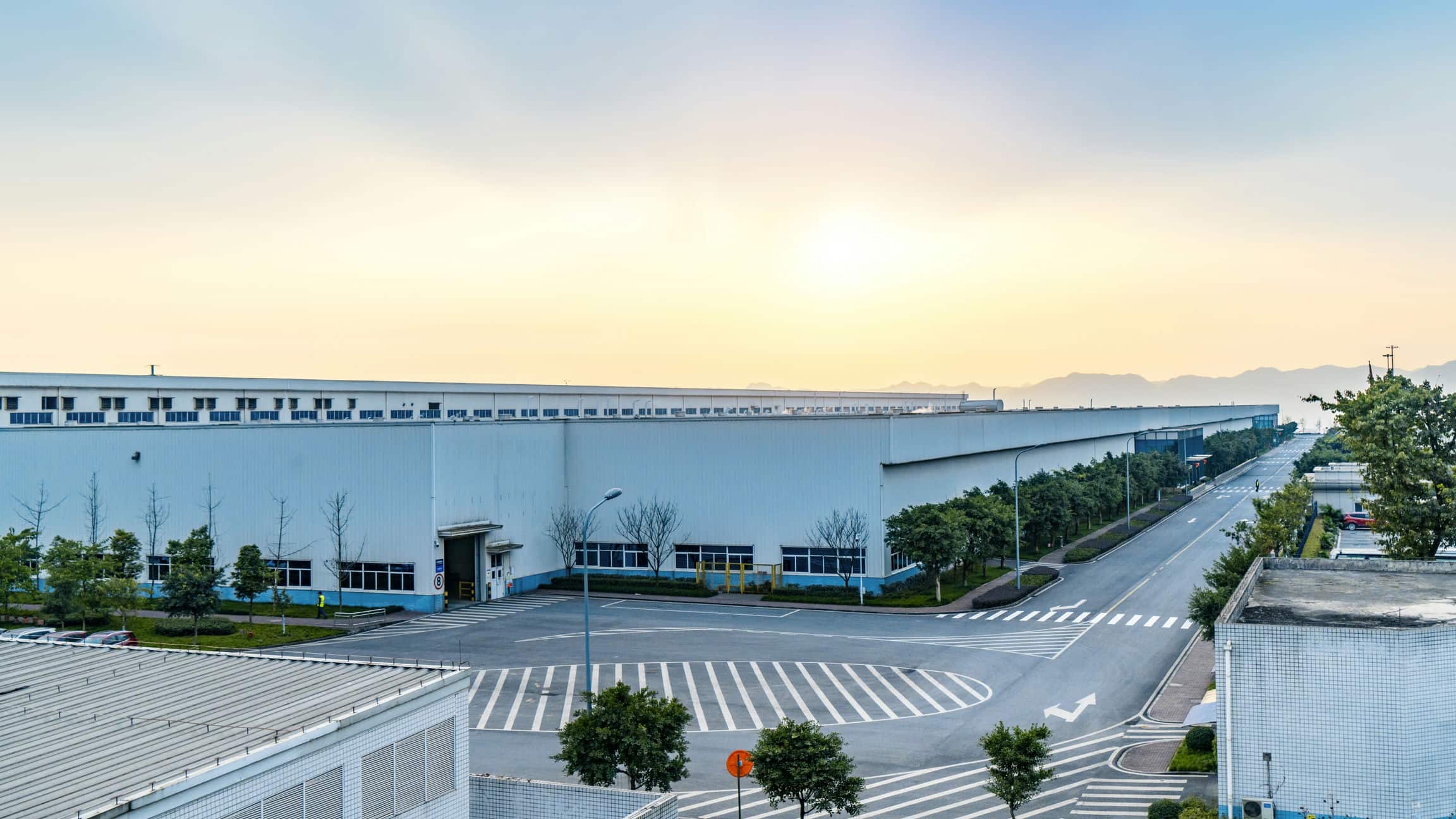 Vằng Mười – IC
