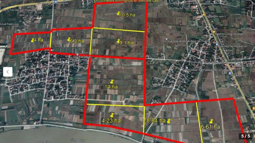 Tiên Cường – IP