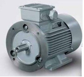 Motor điện 0.75kw