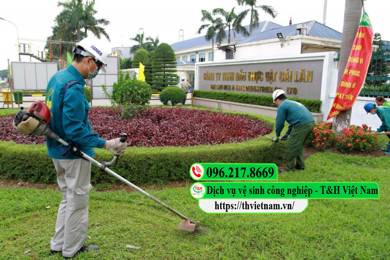 Dịch vụ cắt cỏ