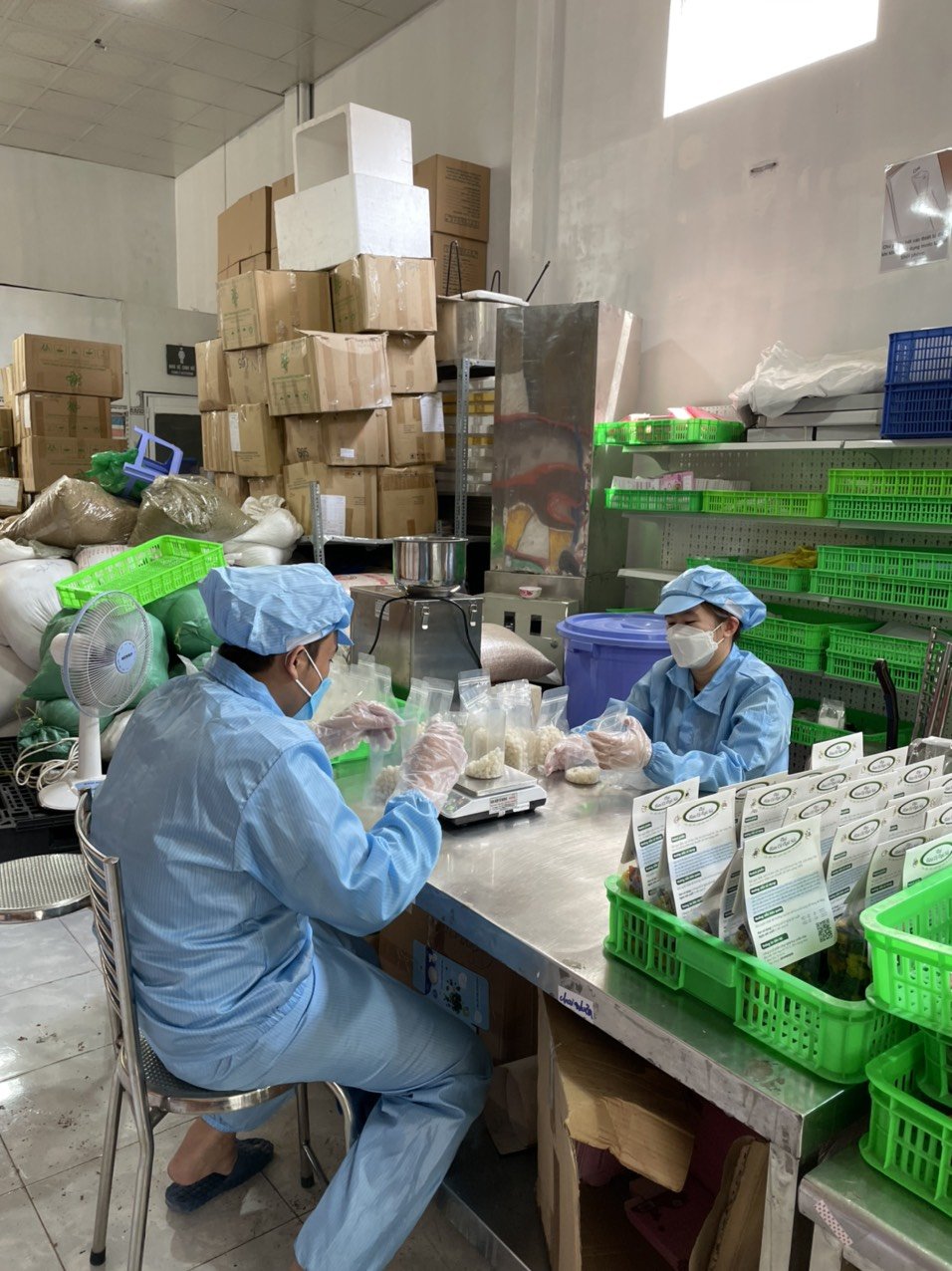 Nhà máy sản xuất