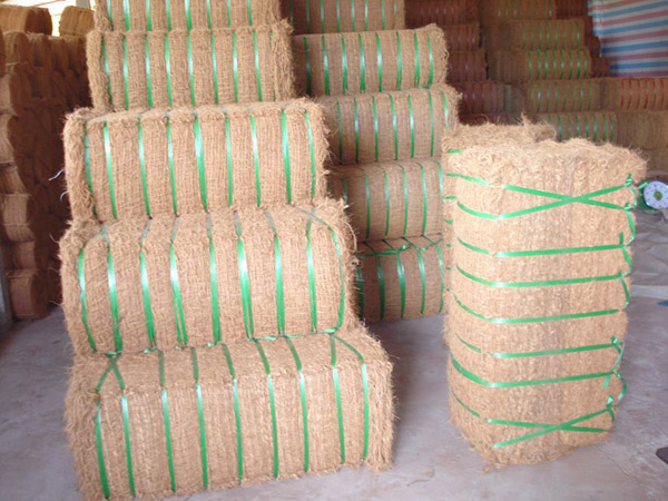 Xơ dừa thô