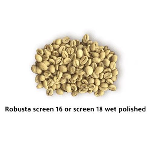 Robusta sàng 16 hoặc sàng 18 đánh bóng ướt