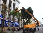 Cưa cắt cây