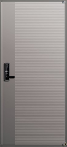 Cửa thép 101