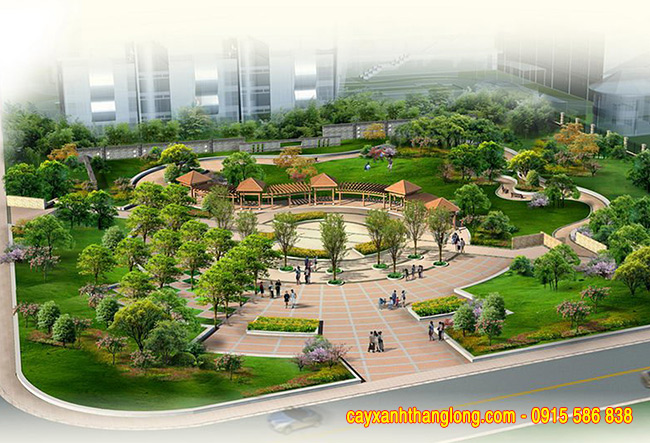 Thiết kế thi công cảnh quan