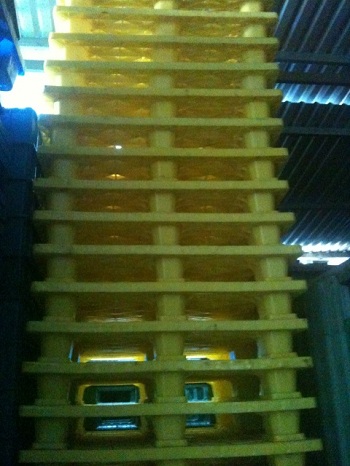 Pallet 1100x1300x150 cao