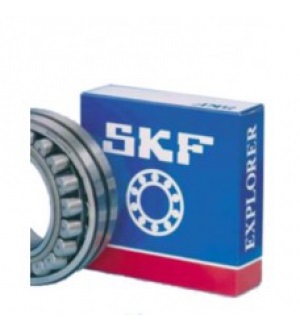 Vòng bi SKF
