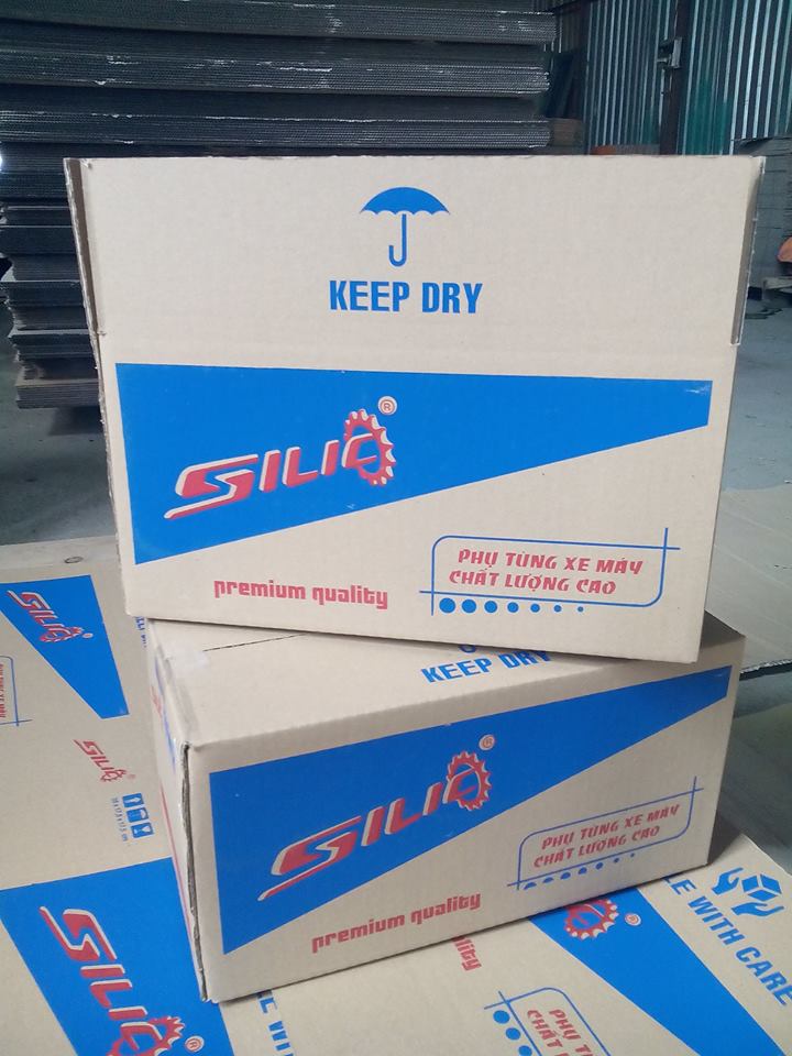 Bao bì Carton